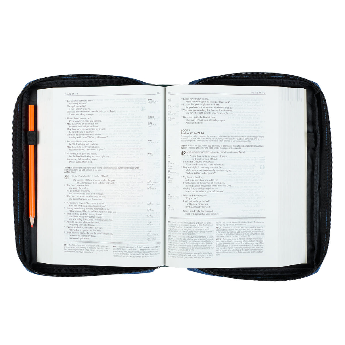 Bible Cover Poly Canvas Large: All Things Through Christ, Denim, Carry Handle