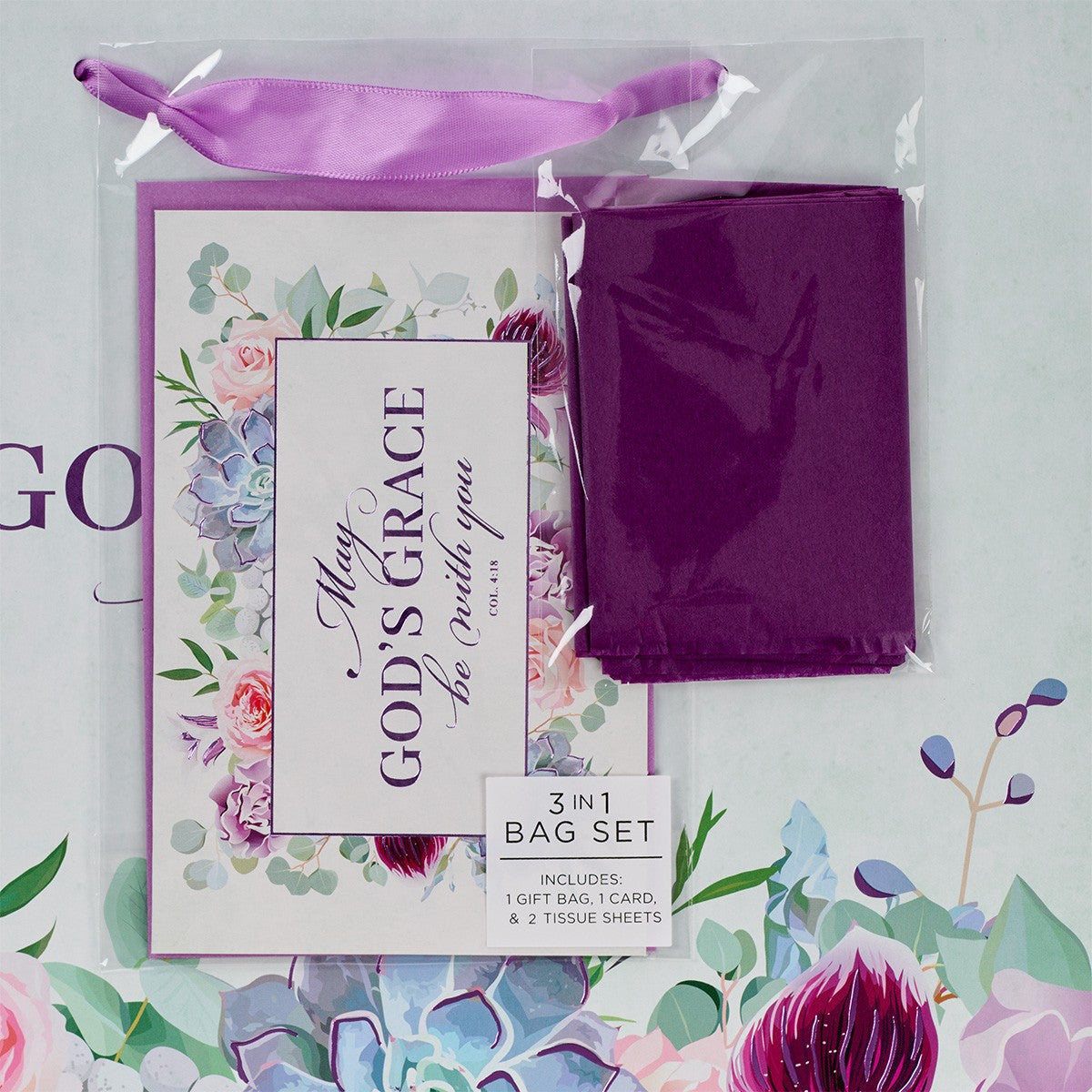 Gift Bag Large Landscape: May God's Grace Be With You Succulents (Col. 4:18)