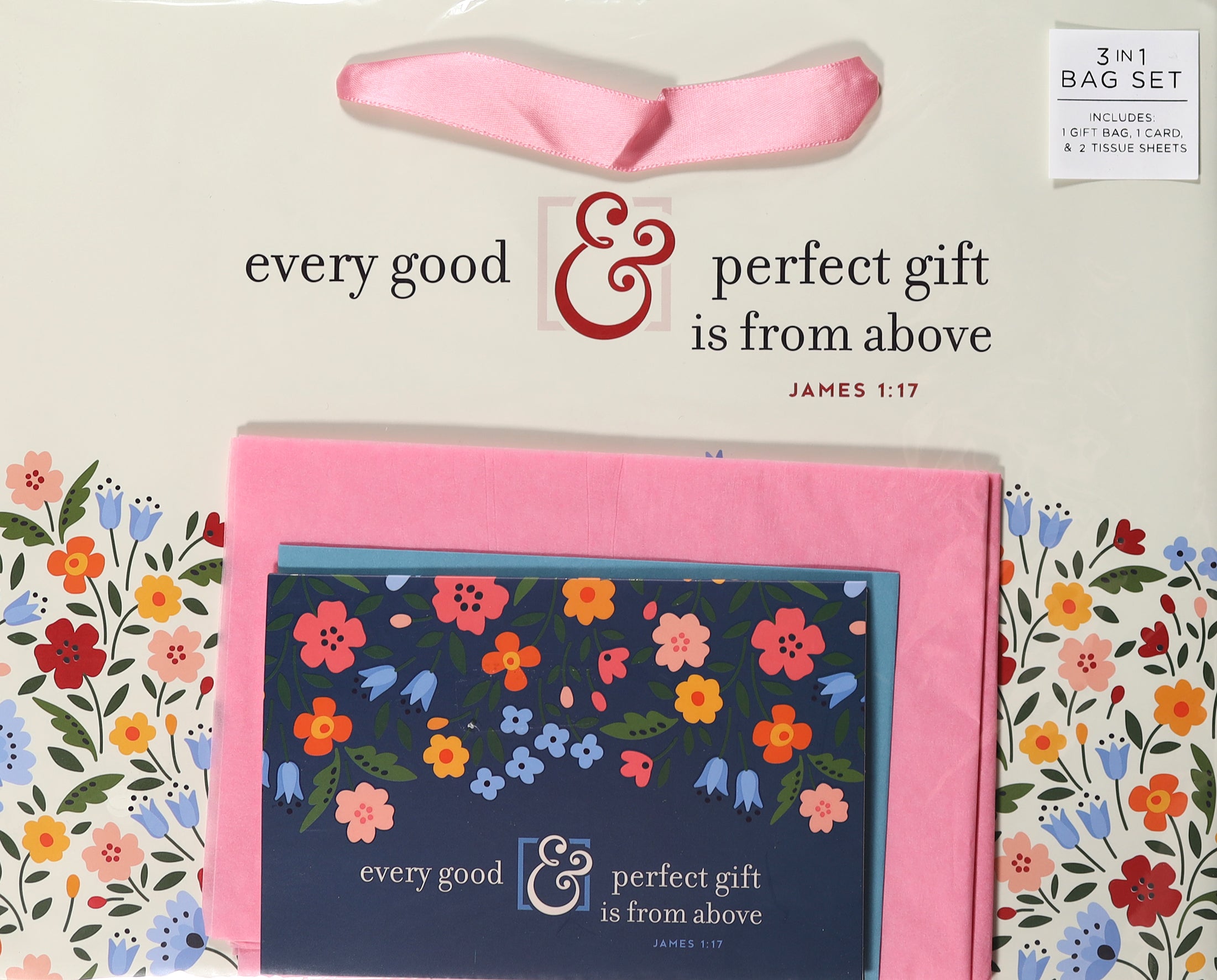 Gift Bag Large Landscape: Every Good & Perfect Gift (James 1:17)