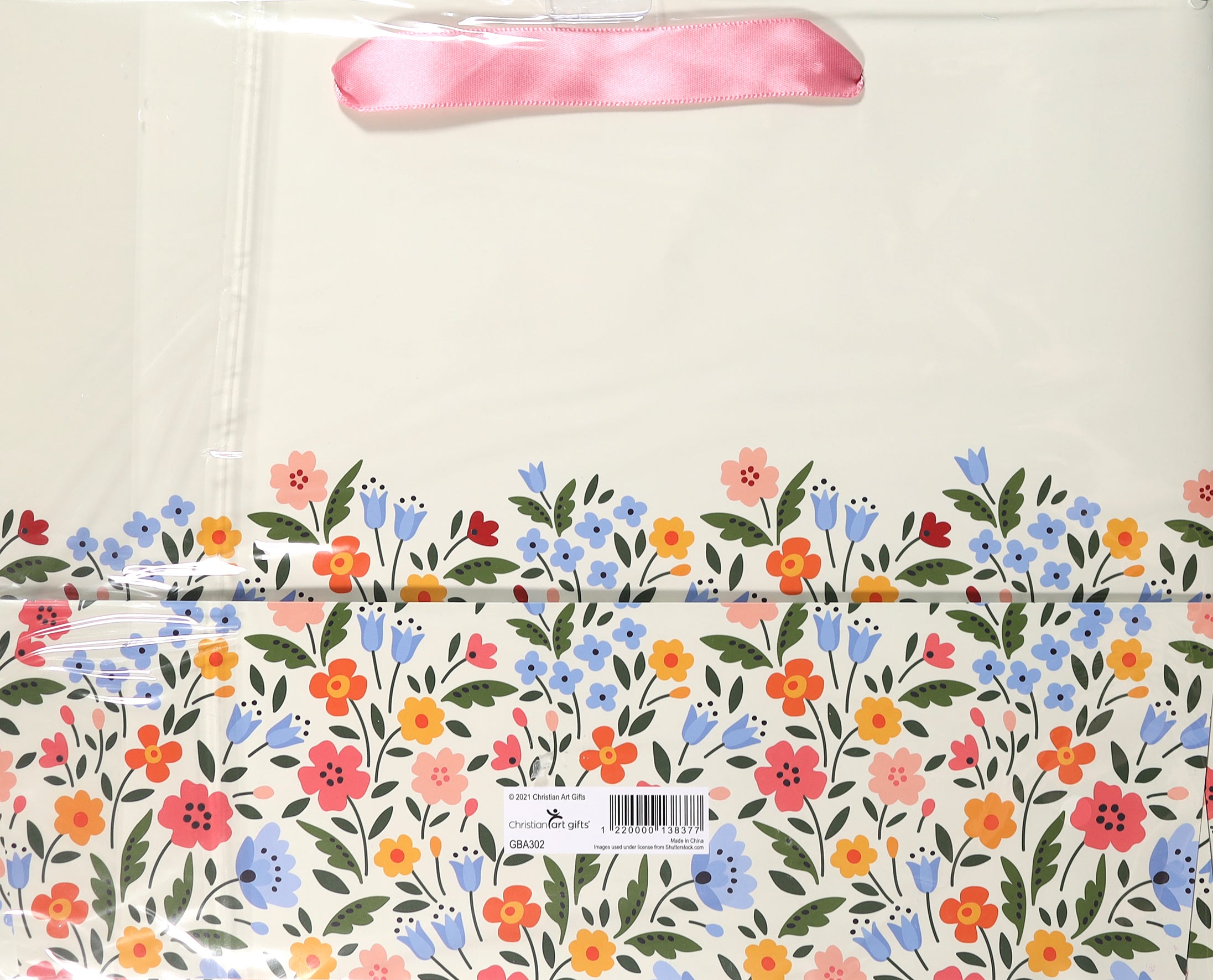 Gift Bag Large Landscape: Every Good & Perfect Gift (James 1:17)