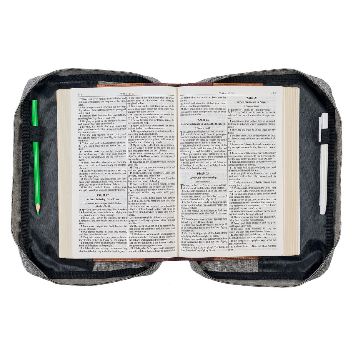 Bible Cover Large: Be Strong and Courageous Lion (Joshua 1:9)