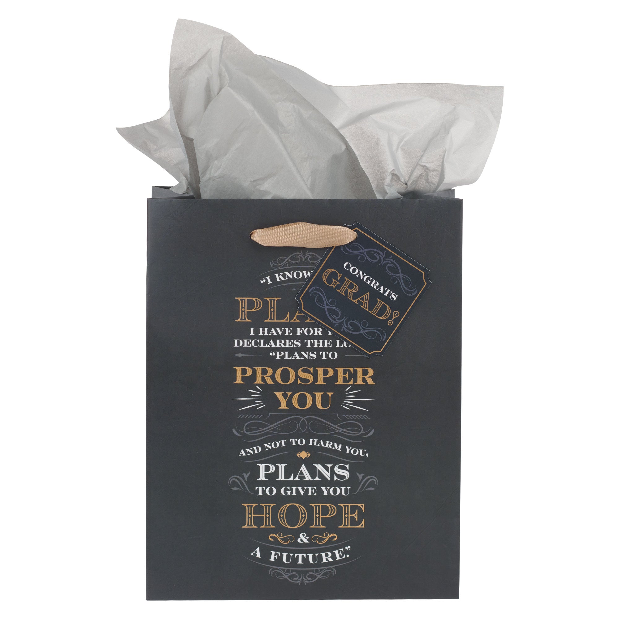 Gift Bag Medium: The Plans (Jer 29:11)