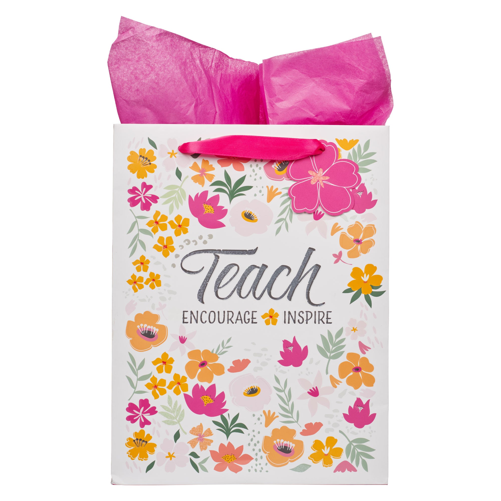 Gift Bag Large: Teacher God is With You,  Zeph. 3:17 (Teacher Blessings)