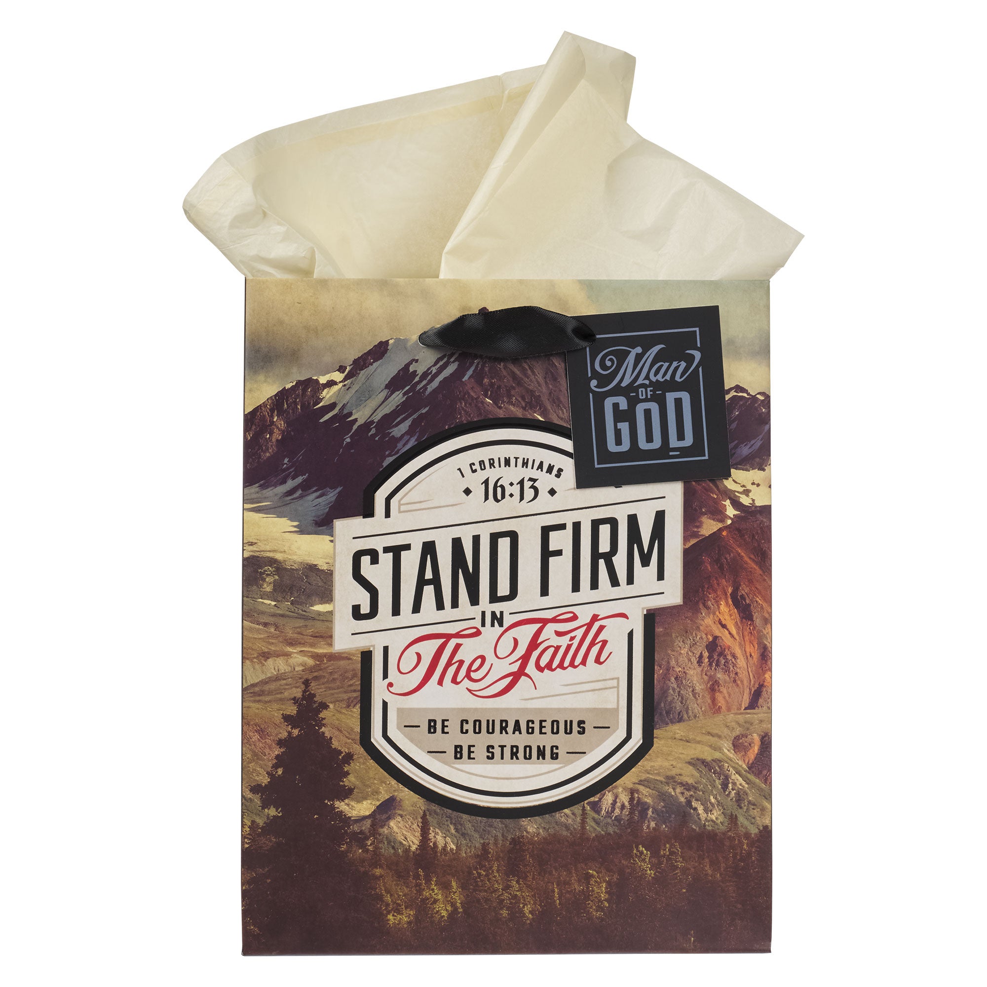 Gift Bag Medium: Stand Firm, 1 Cor. 16:13, Gray Mountain View