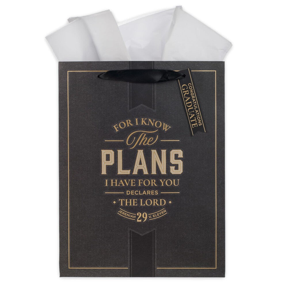 Gift Bag Large: I Know the Plans, Jer. 29:11 (The Plans Charcoal Collection)