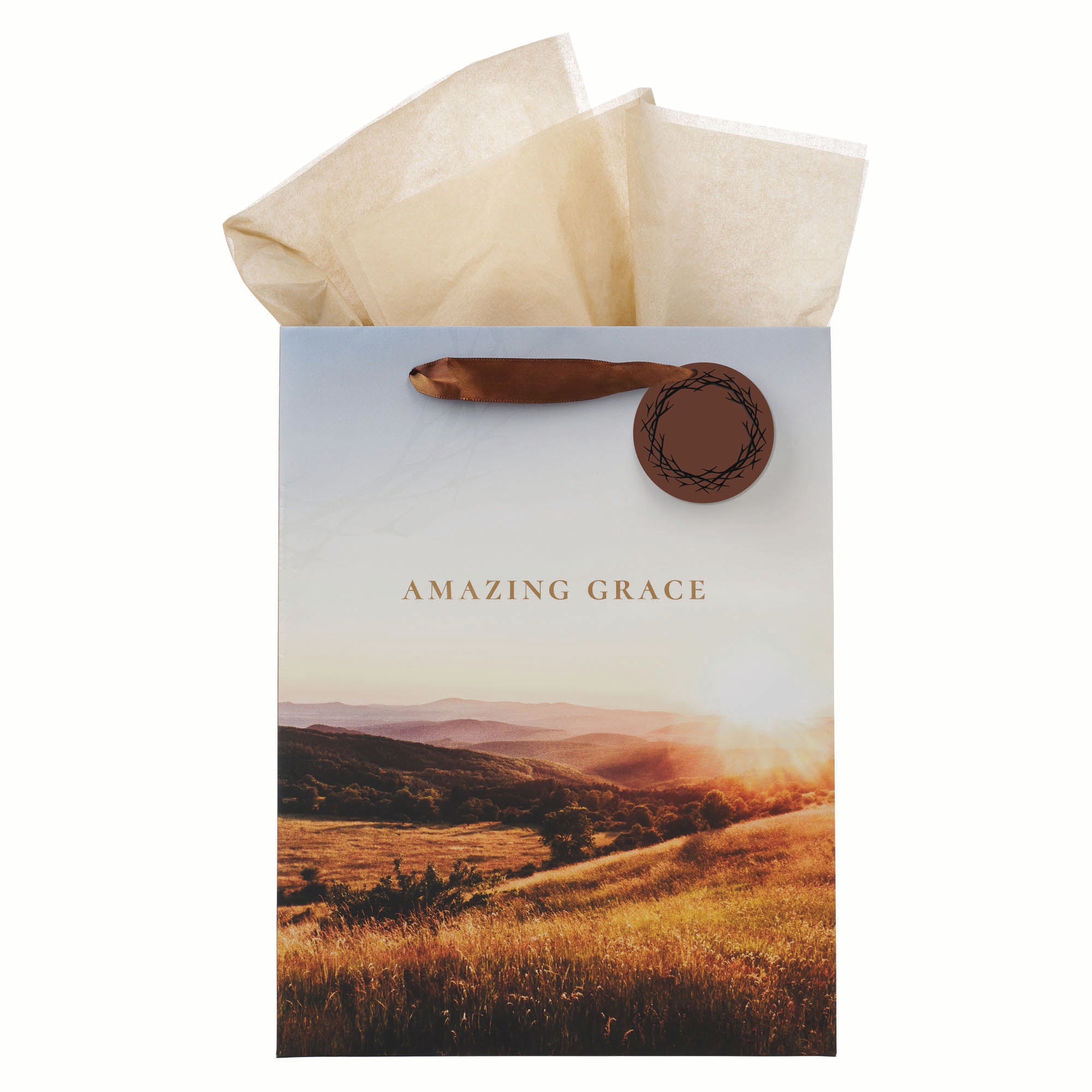 Gift Bag, Large: Crown of Thorns/Amazing Grace