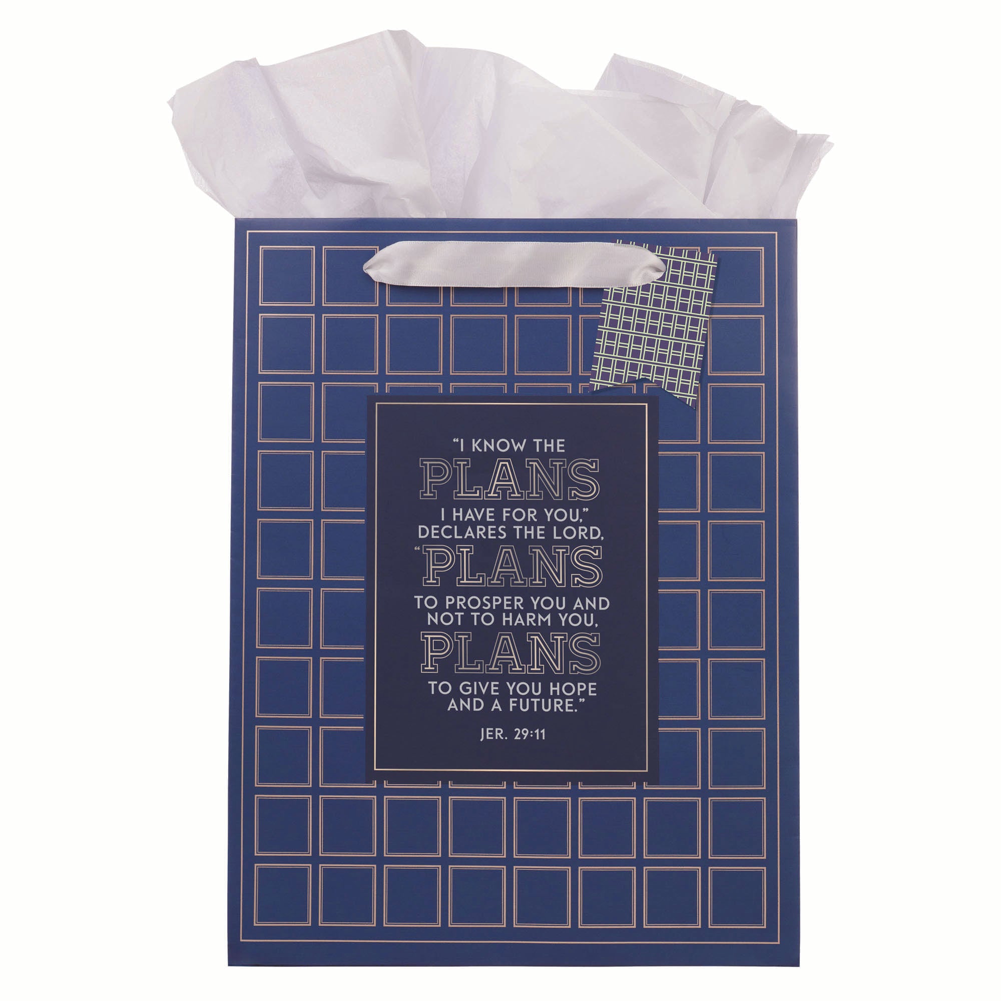 Gift Bag, Large: Grad Plans Jer. 29:11