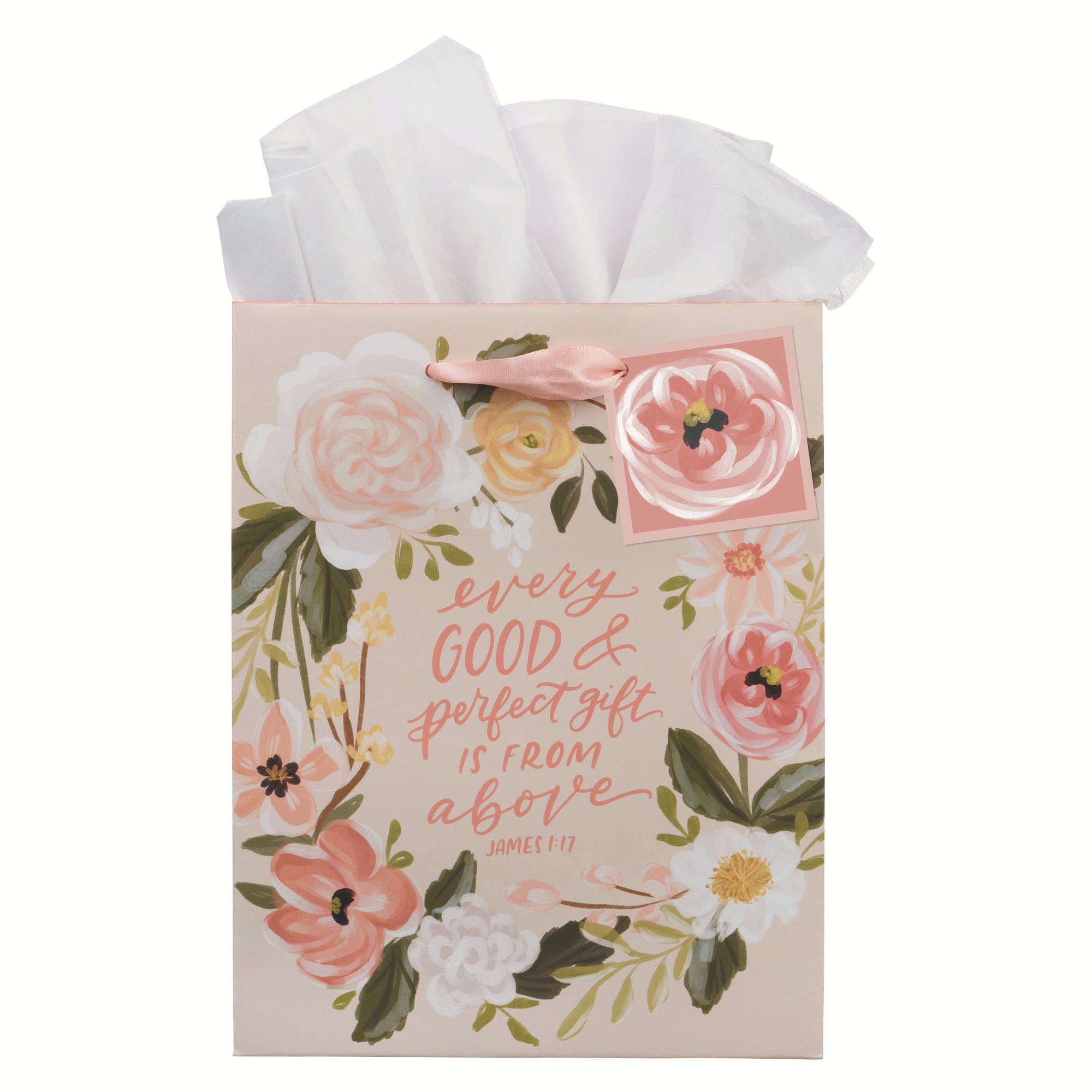 Gift Bag, Medium: Every Good & Perfect Gift James 1:17