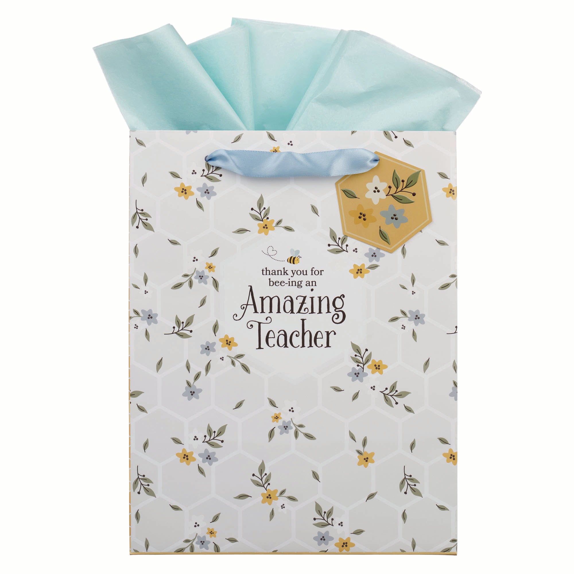 Gift Bag, Large: Amazing Teacher
