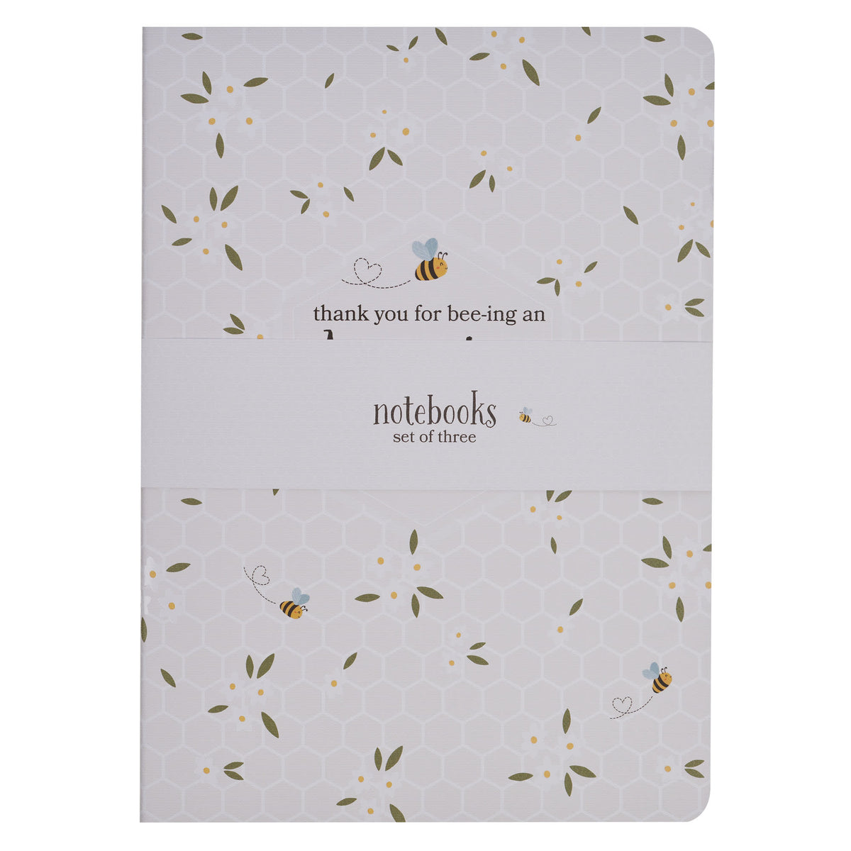 Notebook (Set of 3): Amazing Teacher