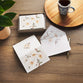 Boxed Cards: Thank You, 12 cards/envelopes (White Magnolia Collection)