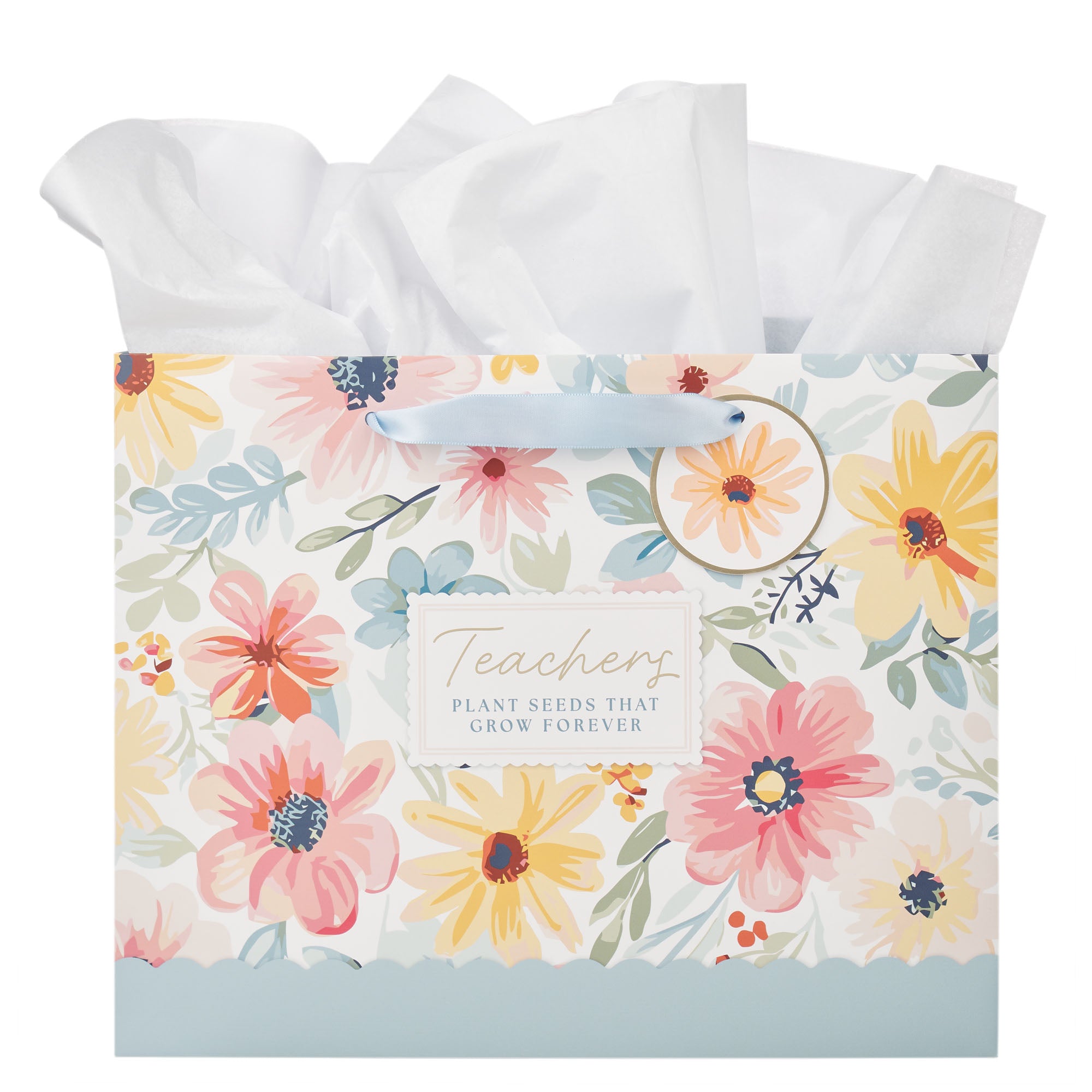 Gift Bag, Large Landscape (Teacher Coral Garden Collection)