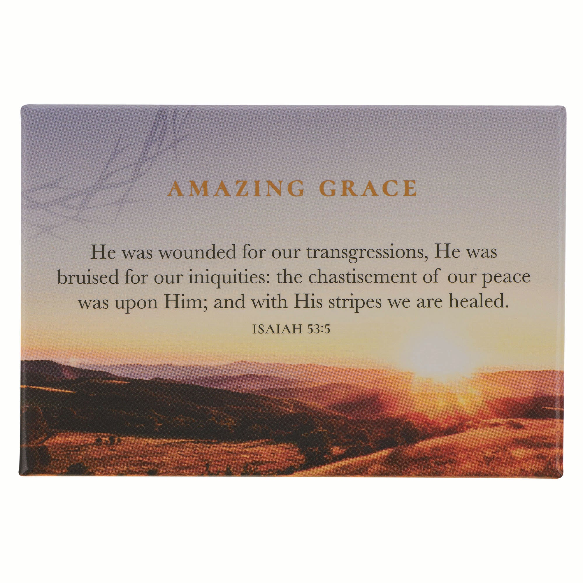 Magnet: Crown of Thorns/Amazing Grace Isa. 53:5