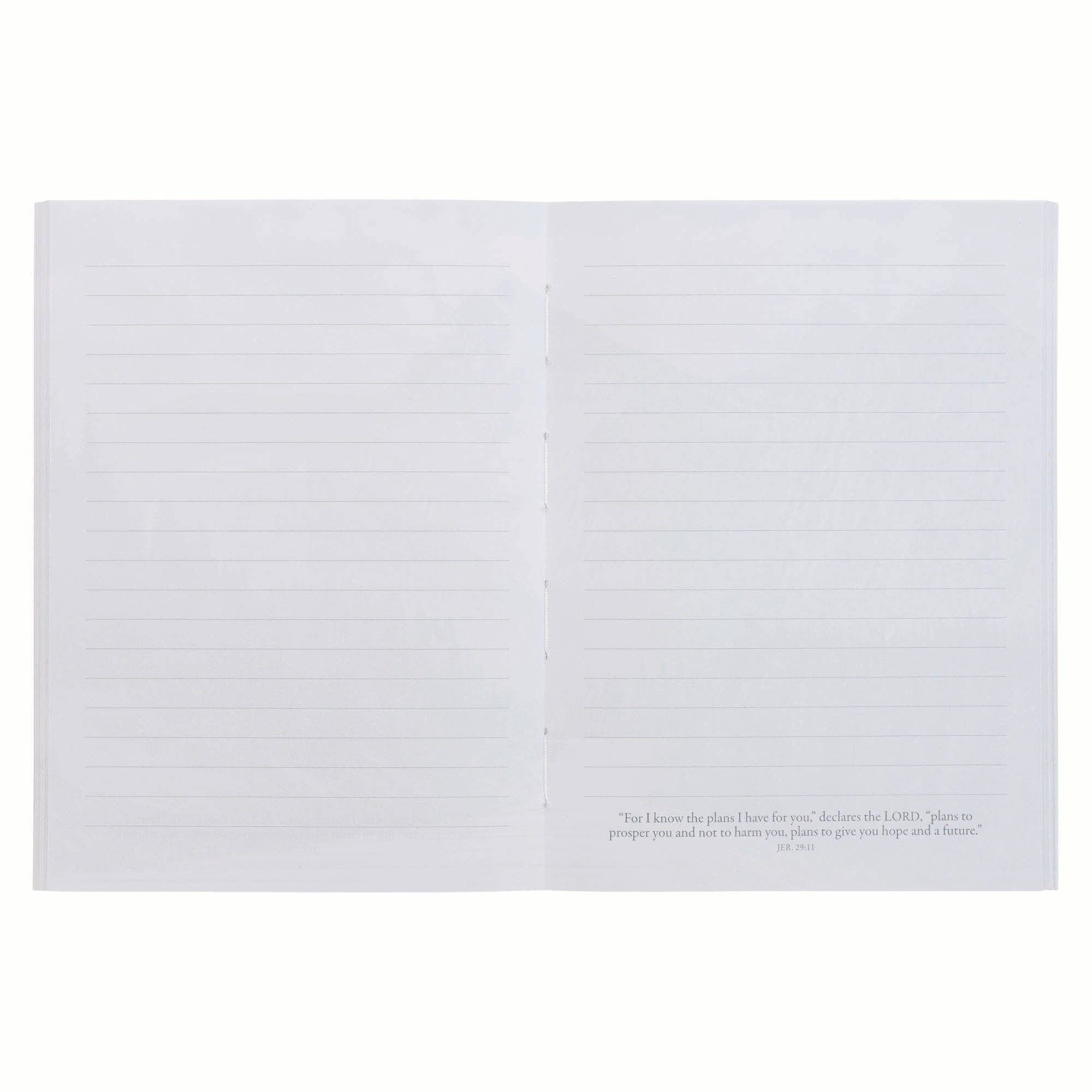Notebook: Blue I Know the Plans I Have For You Jer. 29:11