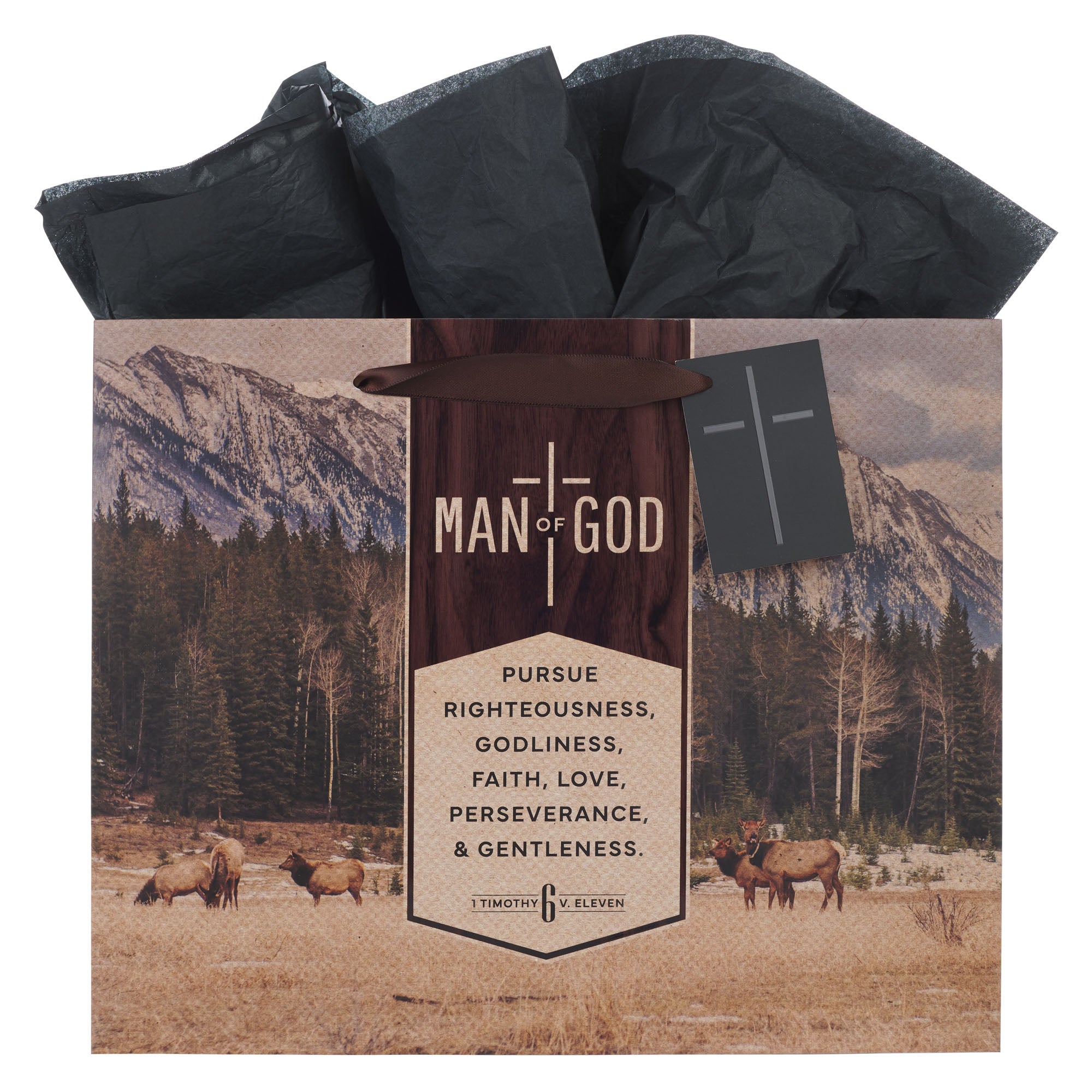 Gift Bag, Large Landscape (Man of God Brown Trailhead Collection)