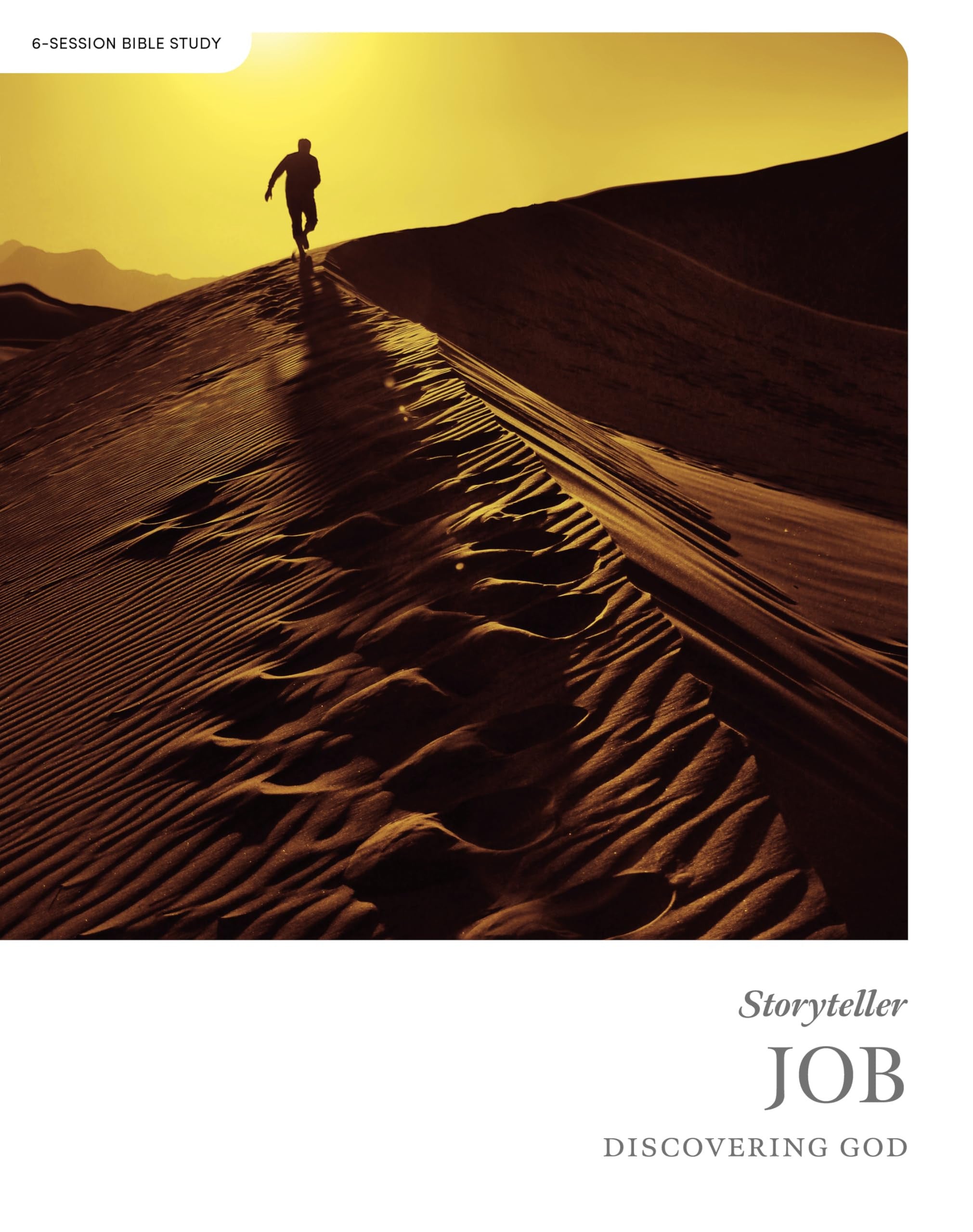Job (Bible Study Book): Discovering God (Storyteller Series)