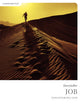 Job (Bible Study Book): Discovering God (Storyteller Series)