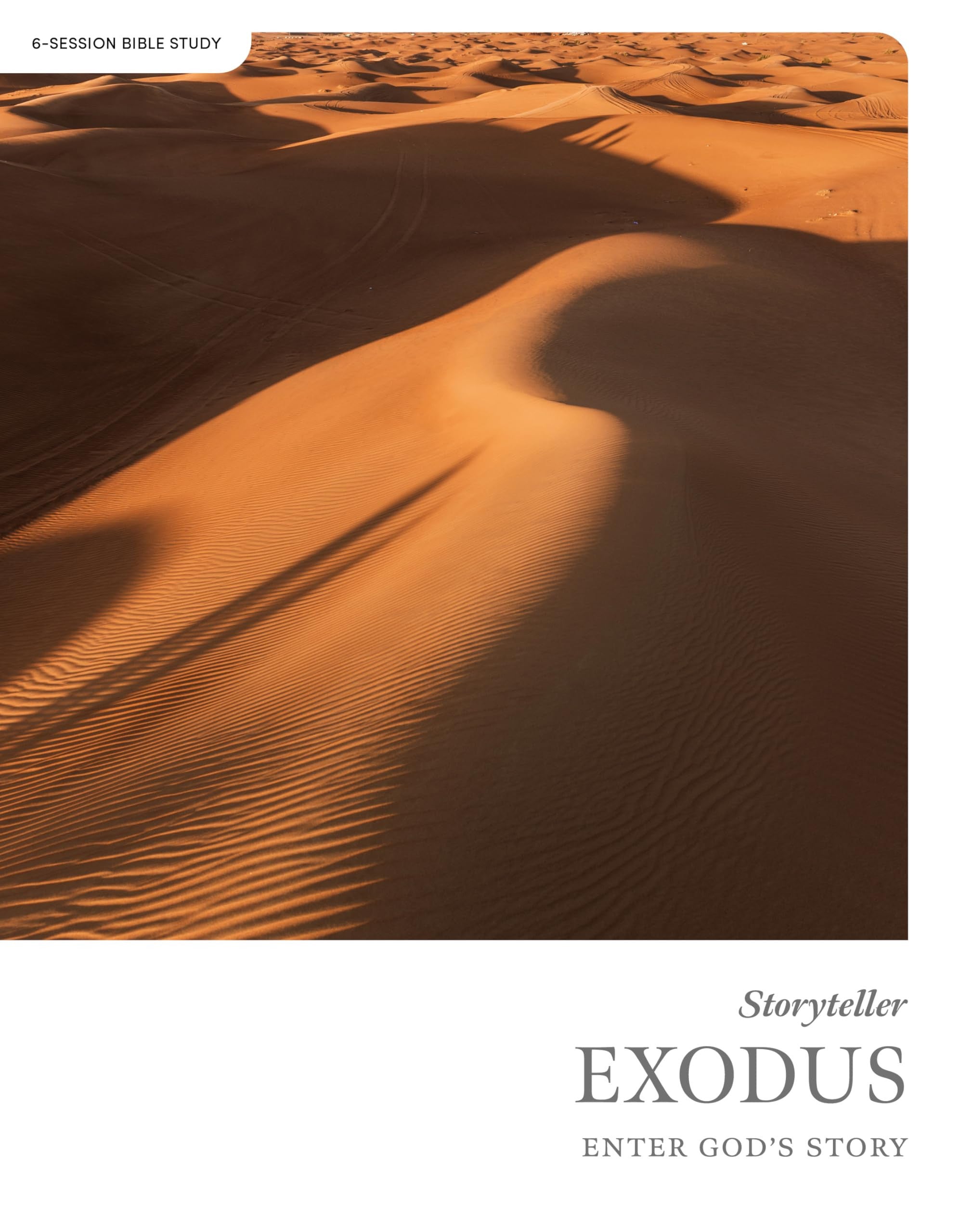 Exodus (Bible Study Book): Enter God's Story (Storyteller Series)