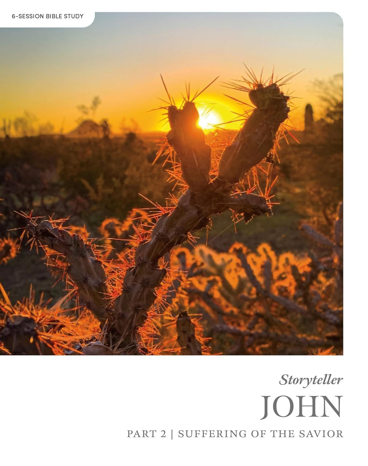 John Part 2 (Bible Study Book): Suffering of the Savior (Storyteller Series)