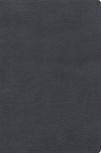 RVR 1960 Biblia De Estudio de Letra Gigante Gris (Large Print Study Bible, Spanish Red Letter Edition)