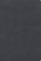 RVR 1960 Biblia De Estudio de Letra Gigante Gris (Large Print Study Bible, Spanish Red Letter Edition)
