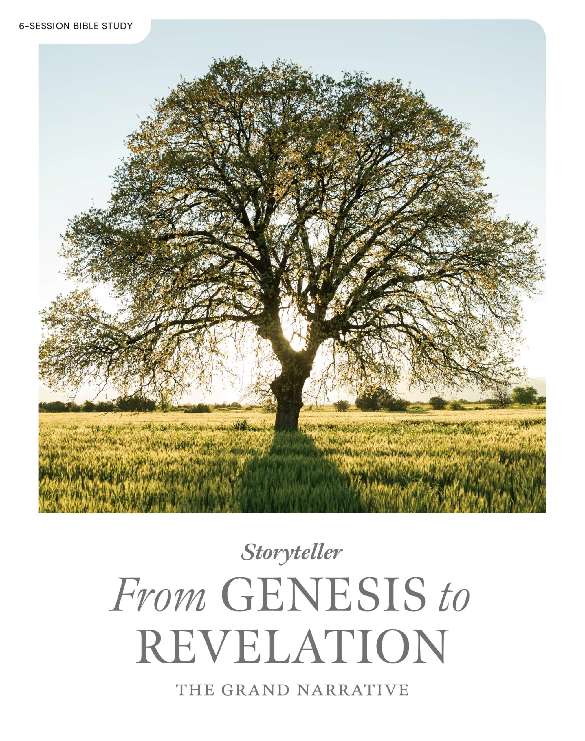 From Genesis to Revelation (Bible Study Book): The Grand Narrative (Storyteller Series)