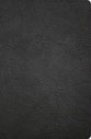 CSB Large Print Personal Size Reference Bible, Digital Study Edition, Black (Red Letter Edition)