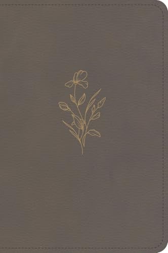 KJV Large Print Compact Reference Bible Clay (Red Letter Edition)