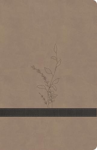 KJV Large Print Personal Size Reference Bible, Earthen Indexed (Red Letter Edition)