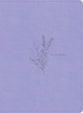 KJV Study Bible Lavender (Red Letter Edition)
