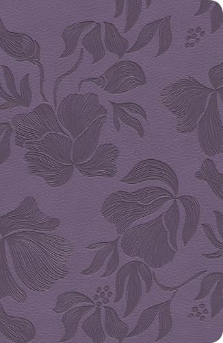 CSB Large Print Personal Size Reference Bible, Digital Study Edition, Purple, Indexed (Red Letter Edition)