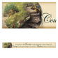Magnetic Strip: Serenity Prayer (Pathway)