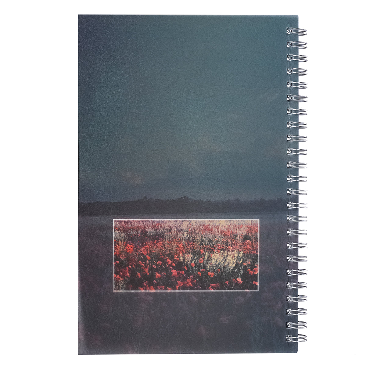 Notebook: My Prayer Notes, Wildflowers