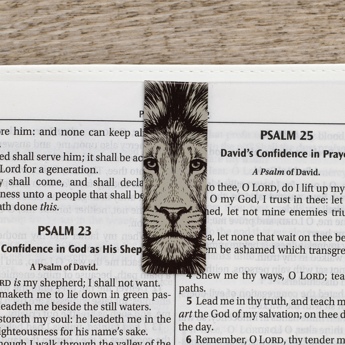 Bookmark Magnetic - Set of 6: Strong and Courageous, Brown Lion