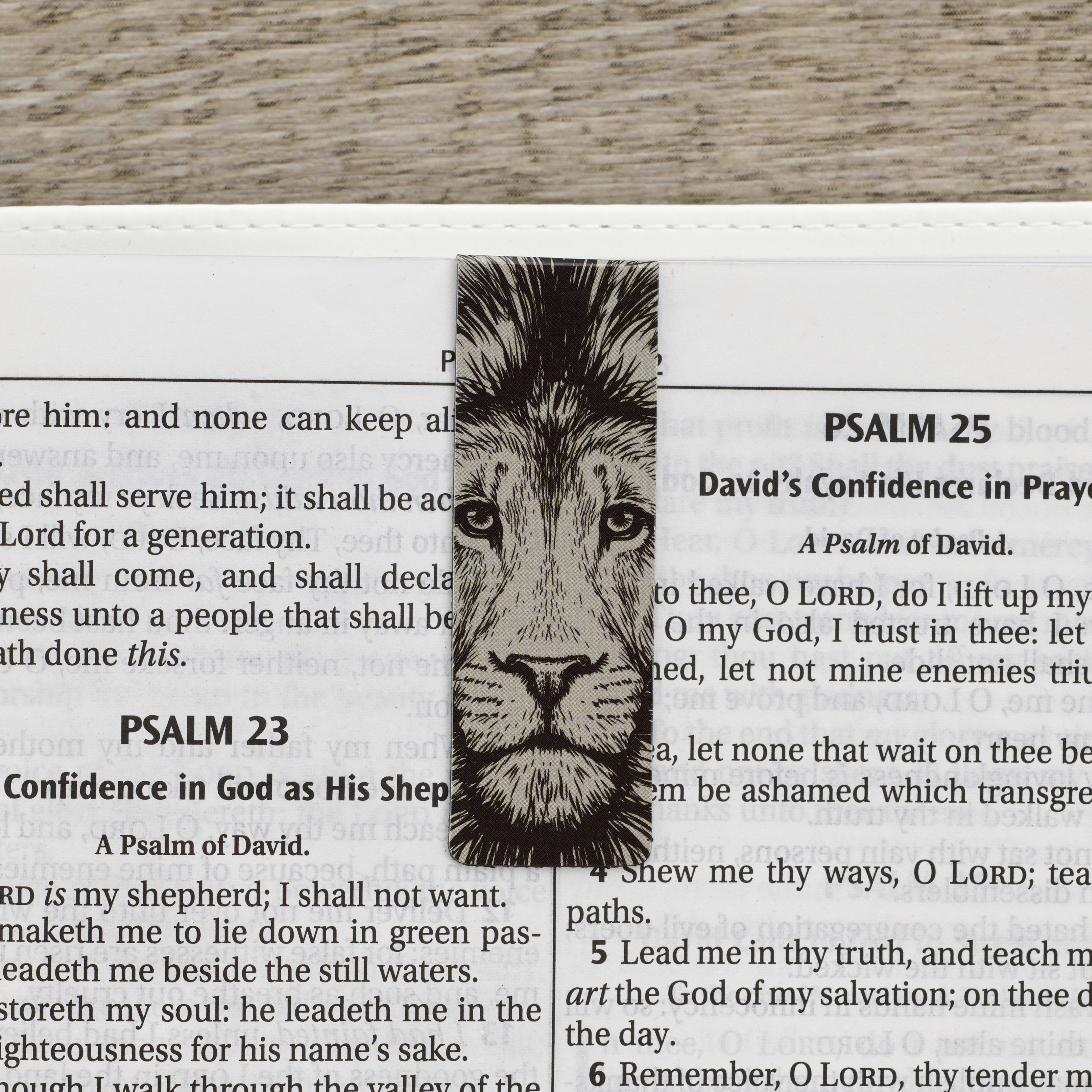 Bookmark Magnetic - Set of 6: Strong and Courageous, Brown Lion