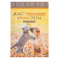 Notepad: Sweet Friendship Cat/Dog (Prov. 27:9)