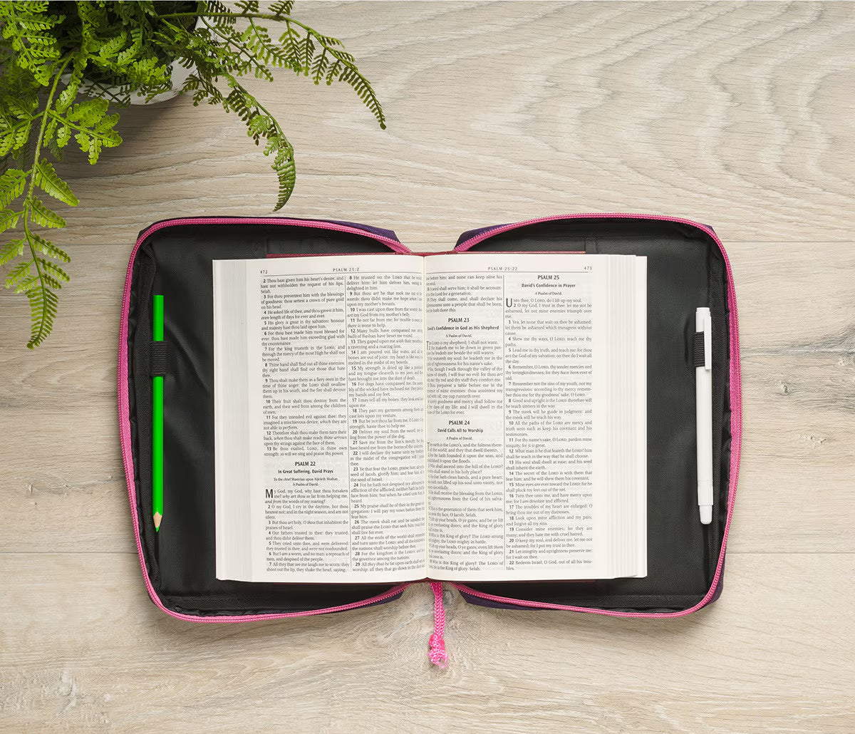Bible Cover Small: Shine for Jesus (Stickers for Girls Collection)