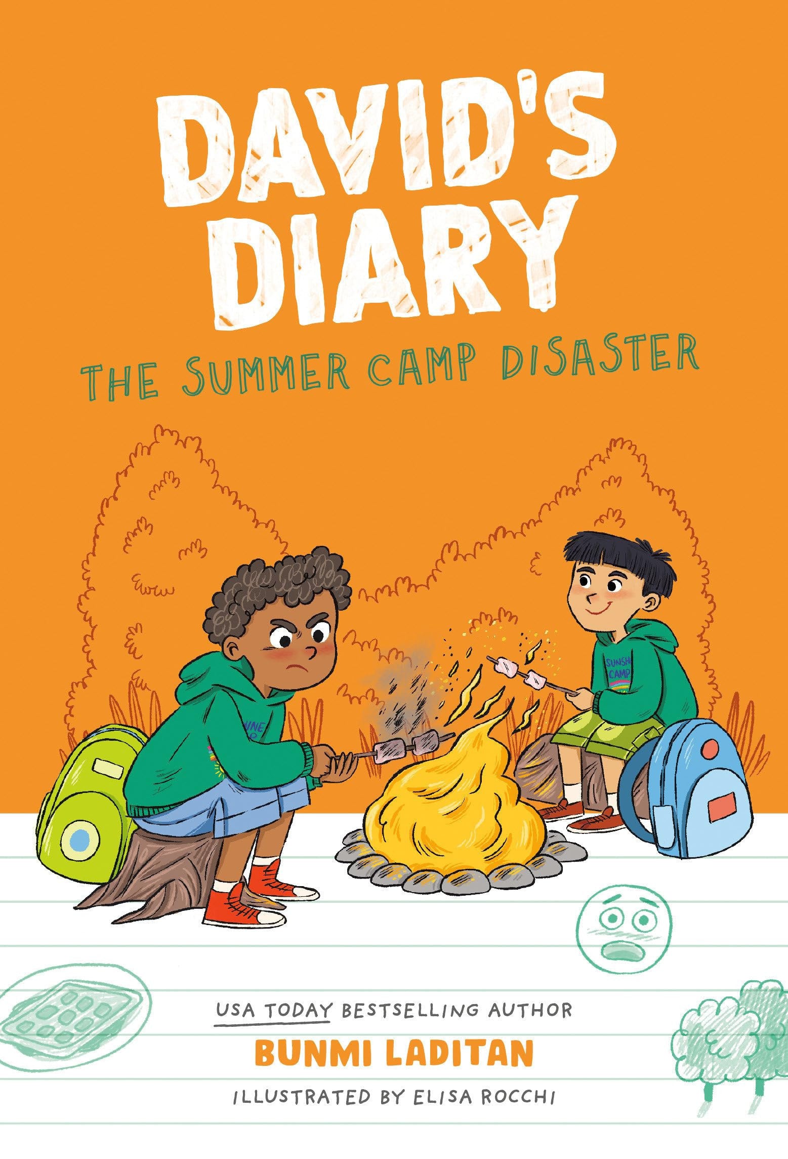 The Summer Camp Disaster (David's Diary Series)