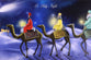 Christmas Card (Budget Pack F)