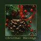 Christmas Boxed Cards: Christmas Blessings, Pine Cones & Berries