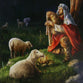 Christmas Boxed Cards: Shepherd on a Hill