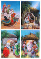 Christmas Card (Value Pack C)