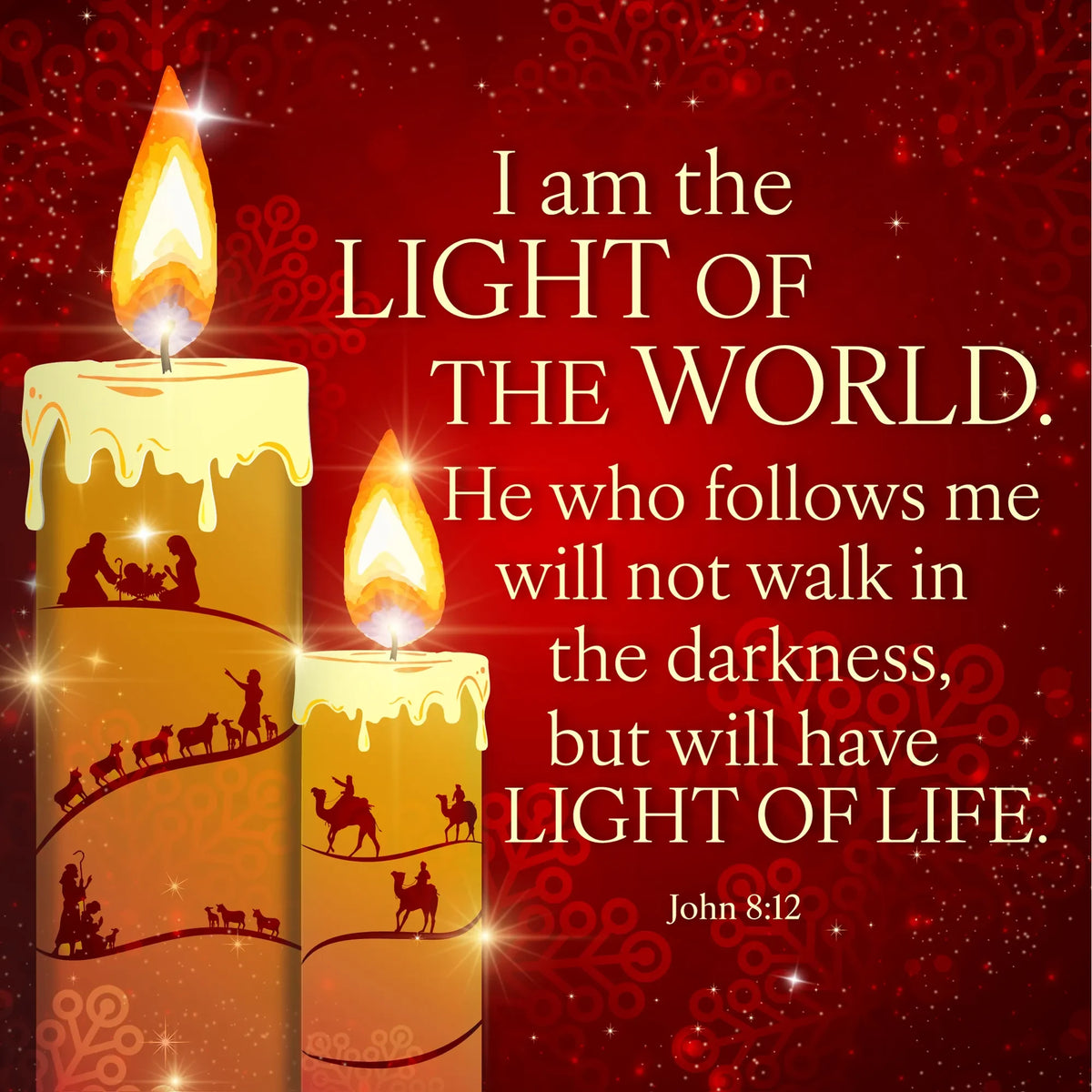 Christmas Cards (10 Pack): I Am the Light