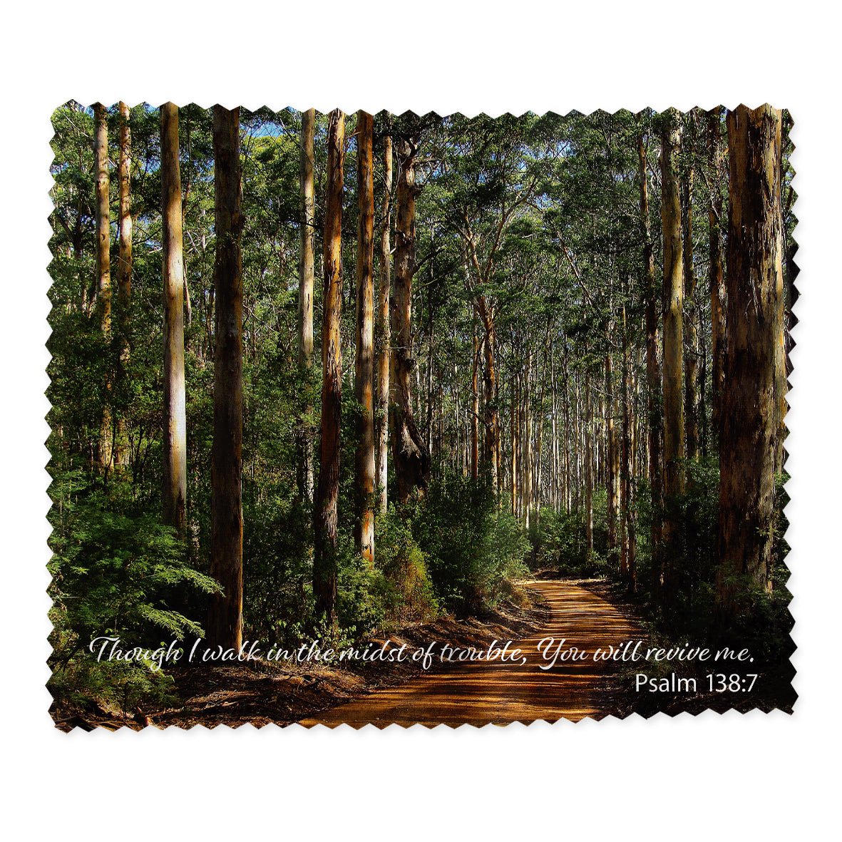Lens Cloth: Borunup Forest, Margaret River, Psalm 138:7