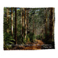 Lens Cloth: Borunup Forest, Margaret River, Psalm 138:7