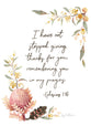 Australiana Greeting Card: Thankful, Grateful (Wattle Floral)