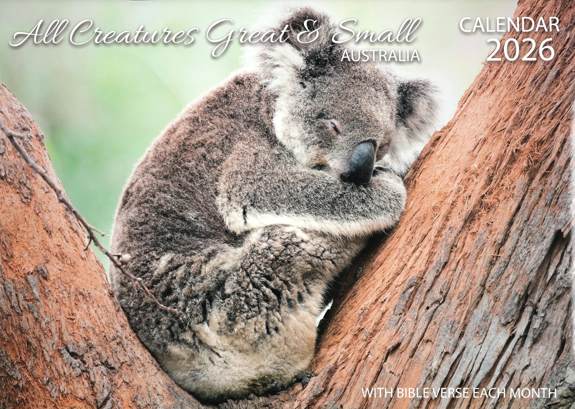 2026 Wall Calendar: All Creatures Great & Small, Bible Verse on Each Month