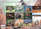 2026 Wall Calendar: All Creatures Great & Small, Bible Verse on Each Month