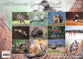 2026 Wall Calendar: All Creatures Great & Small, Bible Verse on Each Month