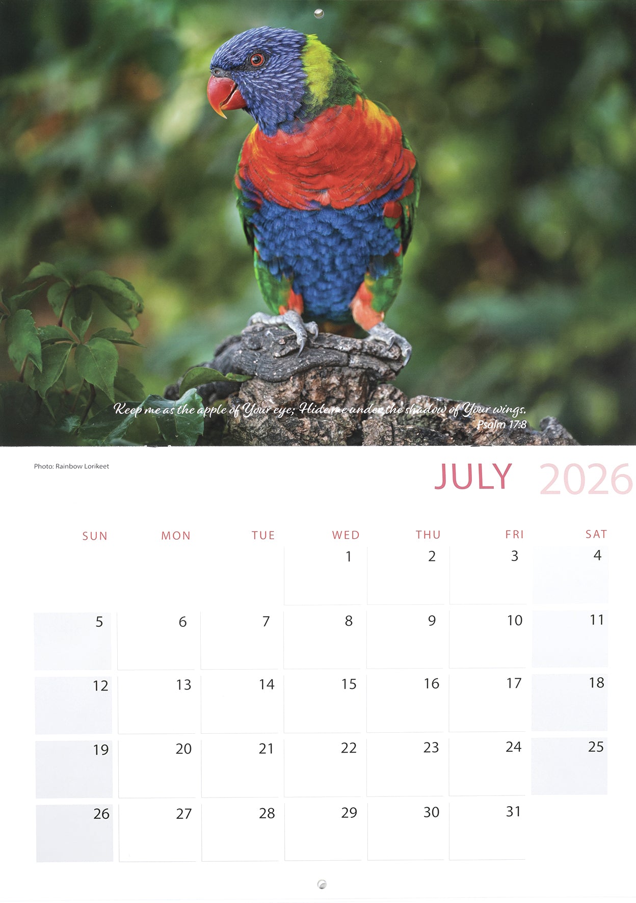 2026 Wall Calendar: All Creatures Great & Small, Bible Verse on Each Month